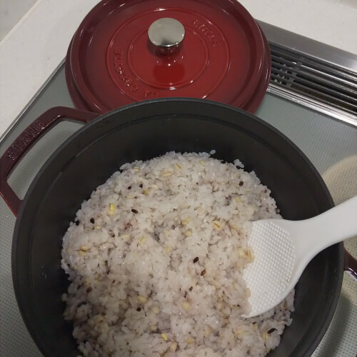 ストウブ Staub 22cmを購入 使い勝手やお試ししたレシピ紹介 にゃもぶろ