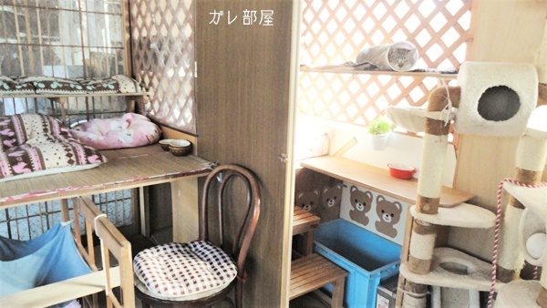 f:id:nyan-chuke:20190130135853j:plain f:id:nyan-chuke:20190130135853j:plain