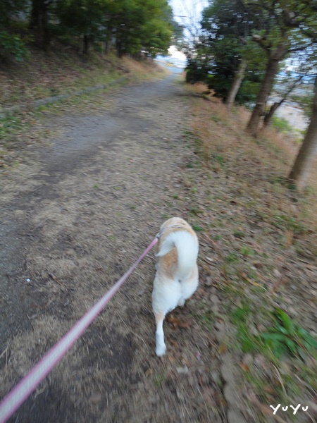f:id:nyan-chuke:20190209204701j:plain f:id:nyan-chuke:20190209204701j:plain
