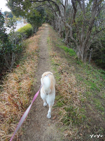 f:id:nyan-chuke:20190209204717j:plain f:id:nyan-chuke:20190209204717j:plain
