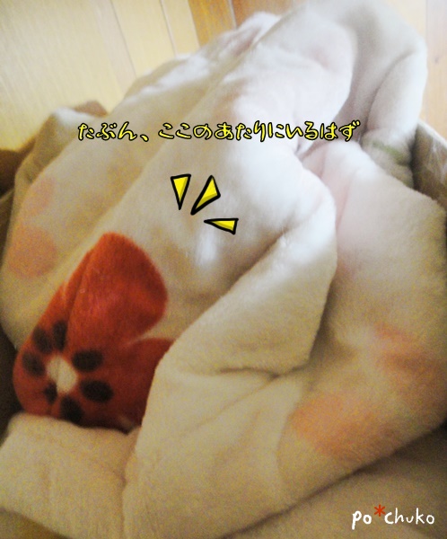 f:id:nyan-chuke:20190209213008j:plain f:id:nyan-chuke:20190209213008j:plain