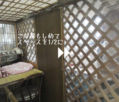 f:id:nyan-chuke:20190211121914j:plain f:id:nyan-chuke:20190211121914j:plain