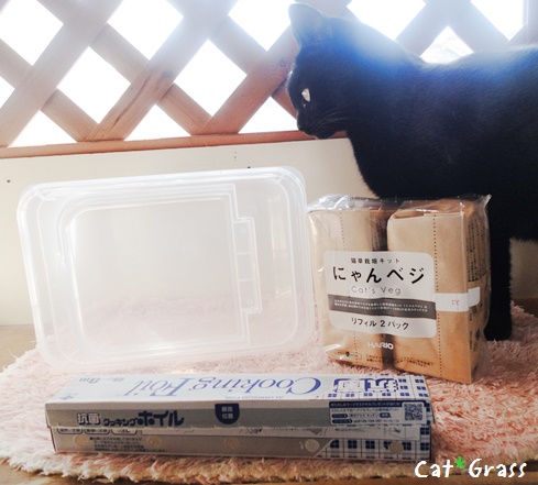 f:id:nyan-chuke:20190220144709j:plain f:id:nyan-chuke:20190220144709j:plain