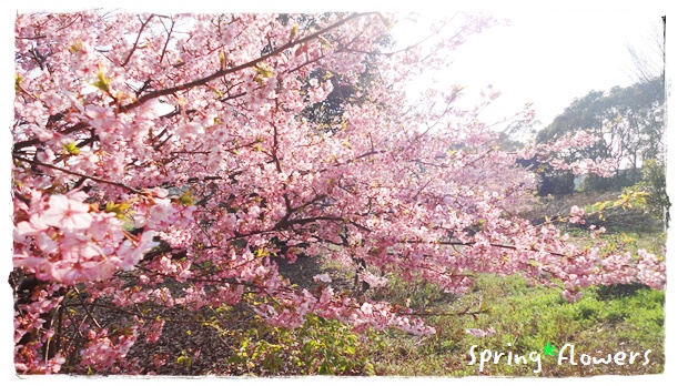 f:id:nyan-chuke:20190302145634j:plain f:id:nyan-chuke:20190302145634j:plain