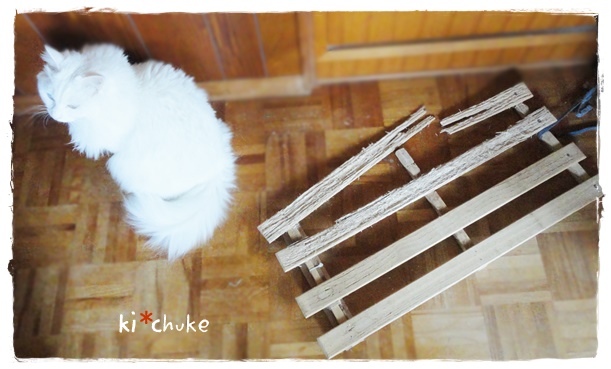 f:id:nyan-chuke:20190306133637j:plain f:id:nyan-chuke:20190306133637j:plain