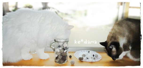f:id:nyan-chuke:20190306211436j:plain f:id:nyan-chuke:20190306211436j:plain