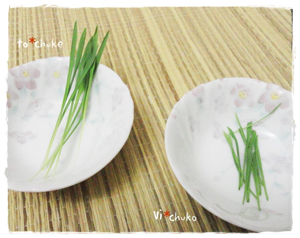 f:id:nyan-chuke:20190308140946j:plain f:id:nyan-chuke:20190308140946j:plain