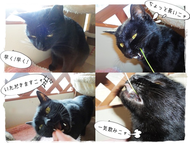 f:id:nyan-chuke:20190308184530j:plain f:id:nyan-chuke:20190308184530j:plain