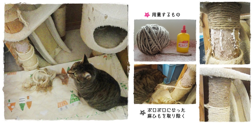 f:id:nyan-chuke:20190310021237j:plain f:id:nyan-chuke:20190310021237j:plain