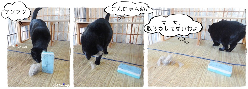 f:id:nyan-chuke:20190310110247j:plain f:id:nyan-chuke:20190310110247j:plain