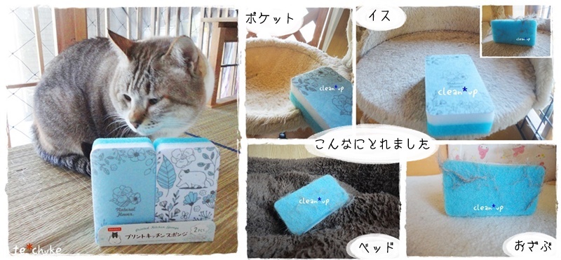 f:id:nyan-chuke:20190310110753j:plain f:id:nyan-chuke:20190310110753j:plain