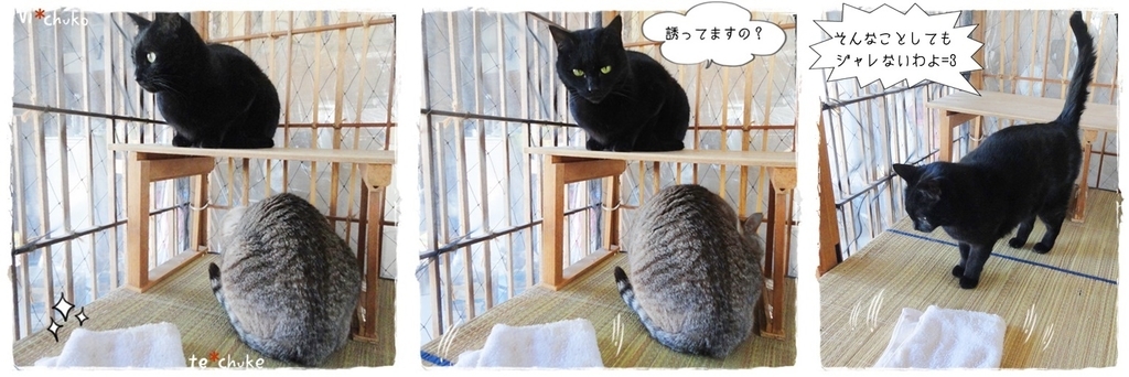 f:id:nyan-chuke:20190310130203j:plain f:id:nyan-chuke:20190310130203j:plain