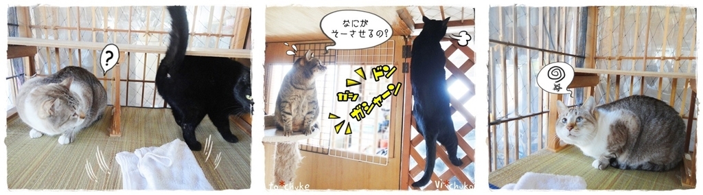 f:id:nyan-chuke:20190310130235j:plain f:id:nyan-chuke:20190310130235j:plain