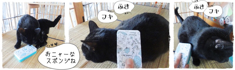 f:id:nyan-chuke:20190310134408j:plain f:id:nyan-chuke:20190310134408j:plain
