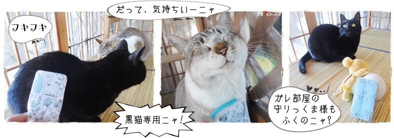 f:id:nyan-chuke:20190310134423j:plain f:id:nyan-chuke:20190310134423j:plain