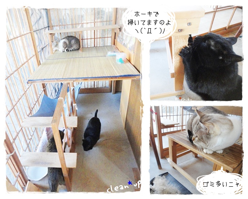 f:id:nyan-chuke:20190310145935j:plain f:id:nyan-chuke:20190310145935j:plain