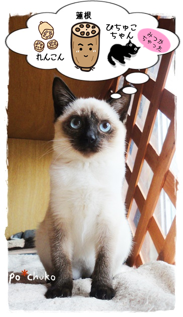 f:id:nyan-chuke:20190312190704p:plain f:id:nyan-chuke:20190312190704p:plain