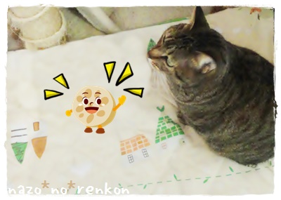f:id:nyan-chuke:20190312194253j:plain f:id:nyan-chuke:20190312194253j:plain