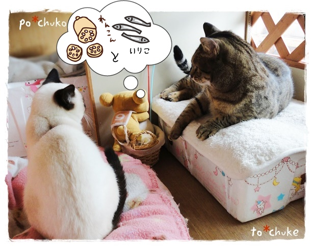 f:id:nyan-chuke:20190312202148p:plain f:id:nyan-chuke:20190312202148p:plain