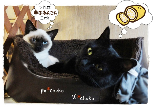 f:id:nyan-chuke:20190312210643p:plain f:id:nyan-chuke:20190312210643p:plain