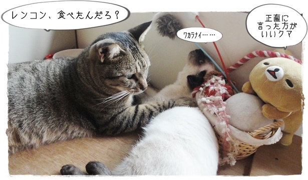 f:id:nyan-chuke:20190312213233j:plain f:id:nyan-chuke:20190312213233j:plain