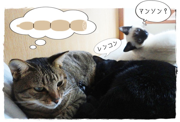 f:id:nyan-chuke:20190312220023j:plain f:id:nyan-chuke:20190312220023j:plain