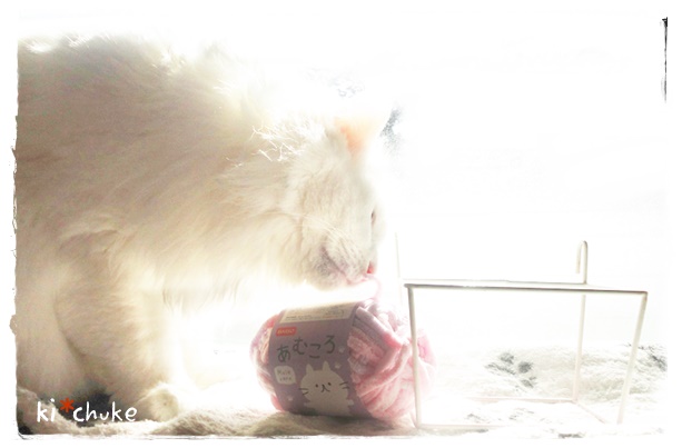 f:id:nyan-chuke:20190314224346j:plain f:id:nyan-chuke:20190314224346j:plain