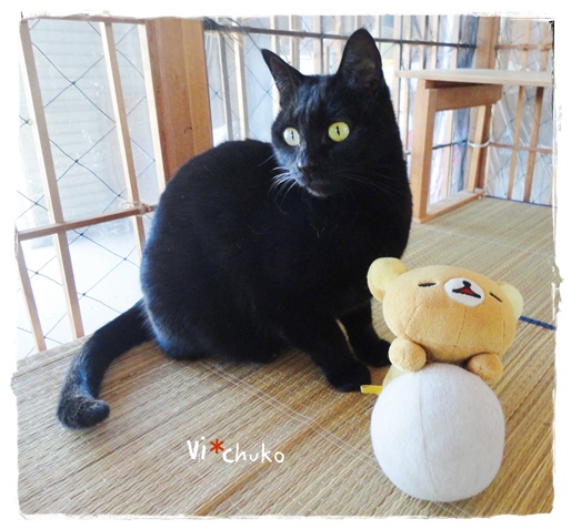 f:id:nyan-chuke:20190314230342j:plain f:id:nyan-chuke:20190314230342j:plain