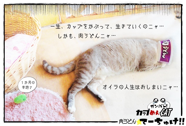 f:id:nyan-chuke:20190317011708j:plain f:id:nyan-chuke:20190317011708j:plain