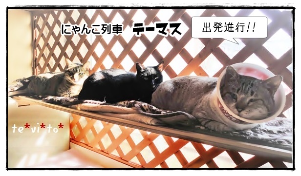 f:id:nyan-chuke:20190317192026j:plain f:id:nyan-chuke:20190317192026j:plain