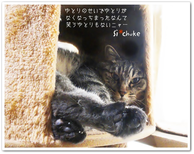 f:id:nyan-chuke:20190321195808j:plain f:id:nyan-chuke:20190321195808j:plain