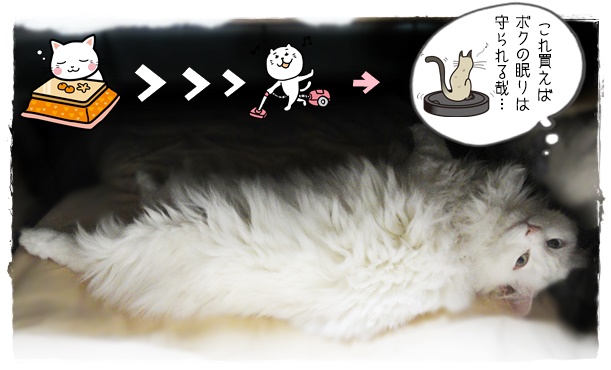 f:id:nyan-chuke:20190325194204j:plain f:id:nyan-chuke:20190325194204j:plain