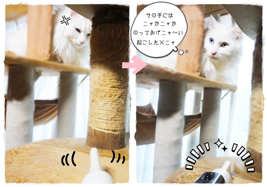 f:id:nyan-chuke:20190325201610j:plain f:id:nyan-chuke:20190325201610j:plain