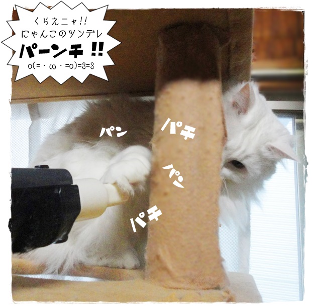 f:id:nyan-chuke:20190325211005j:plain f:id:nyan-chuke:20190325211005j:plain