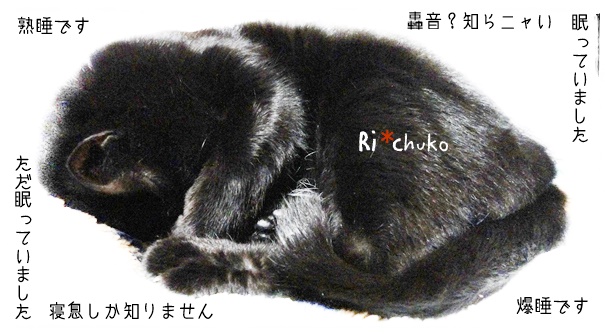 f:id:nyan-chuke:20190327212032j:plain f:id:nyan-chuke:20190327212032j:plain