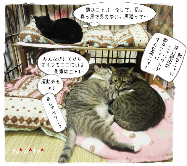 f:id:nyan-chuke:20190327222904j:plain f:id:nyan-chuke:20190327222904j:plain