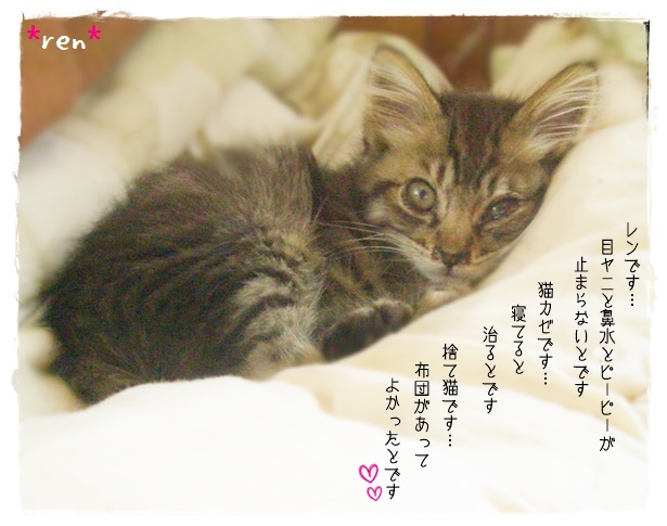 f:id:nyan-chuke:20190331140341j:plain f:id:nyan-chuke:20190331140341j:plain