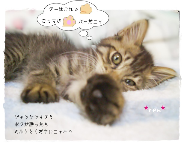 f:id:nyan-chuke:20190331205131j:plain f:id:nyan-chuke:20190331205131j:plain