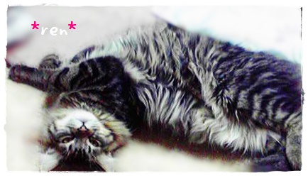 f:id:nyan-chuke:20190331205348j:plain f:id:nyan-chuke:20190331205348j:plain