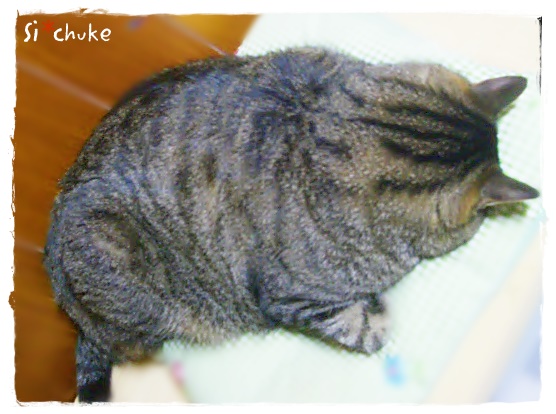 f:id:nyan-chuke:20190403001529j:plain f:id:nyan-chuke:20190403001529j:plain