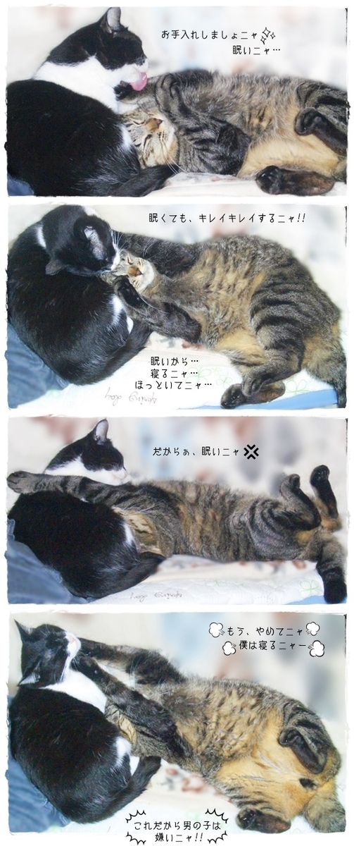 f:id:nyan-chuke:20190403225321j:plain f:id:nyan-chuke:20190403225321j:plain