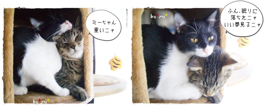 f:id:nyan-chuke:20190404203508j:plain f:id:nyan-chuke:20190404203508j:plain