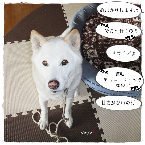 f:id:nyan-chuke:20190410165348j:plain f:id:nyan-chuke:20190410165348j:plain