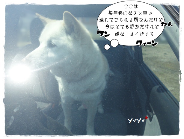 f:id:nyan-chuke:20190410190809j:plain f:id:nyan-chuke:20190410190809j:plain