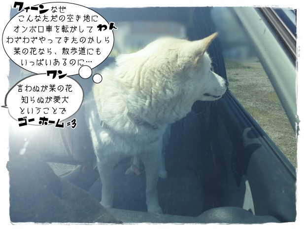 f:id:nyan-chuke:20190410192332j:plain f:id:nyan-chuke:20190410192332j:plain