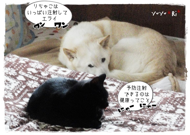 f:id:nyan-chuke:20190410203412j:plain f:id:nyan-chuke:20190410203412j:plain