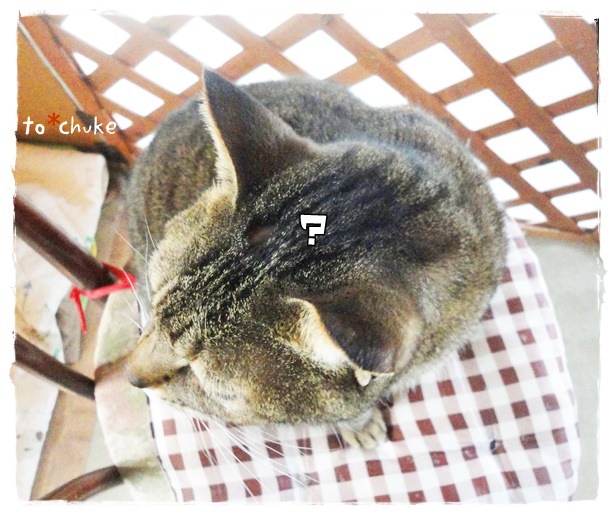 f:id:nyan-chuke:20190412215044j:plain f:id:nyan-chuke:20190412215044j:plain