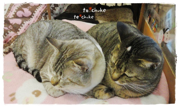 f:id:nyan-chuke:20190412230413j:plain f:id:nyan-chuke:20190412230413j:plain