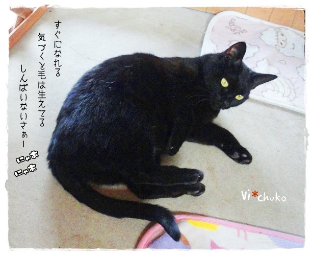 f:id:nyan-chuke:20190412232712j:plain f:id:nyan-chuke:20190412232712j:plain