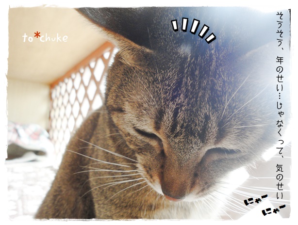 f:id:nyan-chuke:20190413005223j:plain f:id:nyan-chuke:20190413005223j:plain